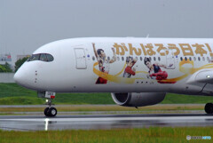 雨のAirportⅡ✈JA06XJ