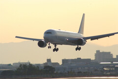 Glorious morning★Boeing767-300