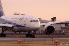 静寂の時☆Boeing 787-8 Dreamliner
