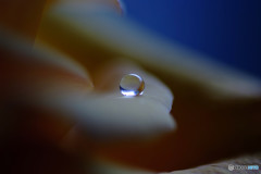 新しい出会い・皐