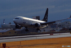 睦月の朝✈Boeing 737-800 