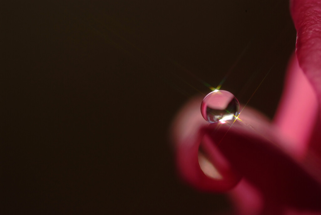 正陽月の朝✿和み