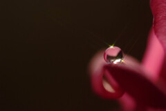 正陽月の朝✿和み