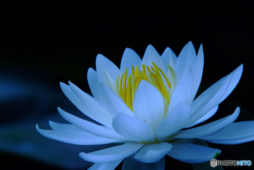 また君に恋してる ・睡