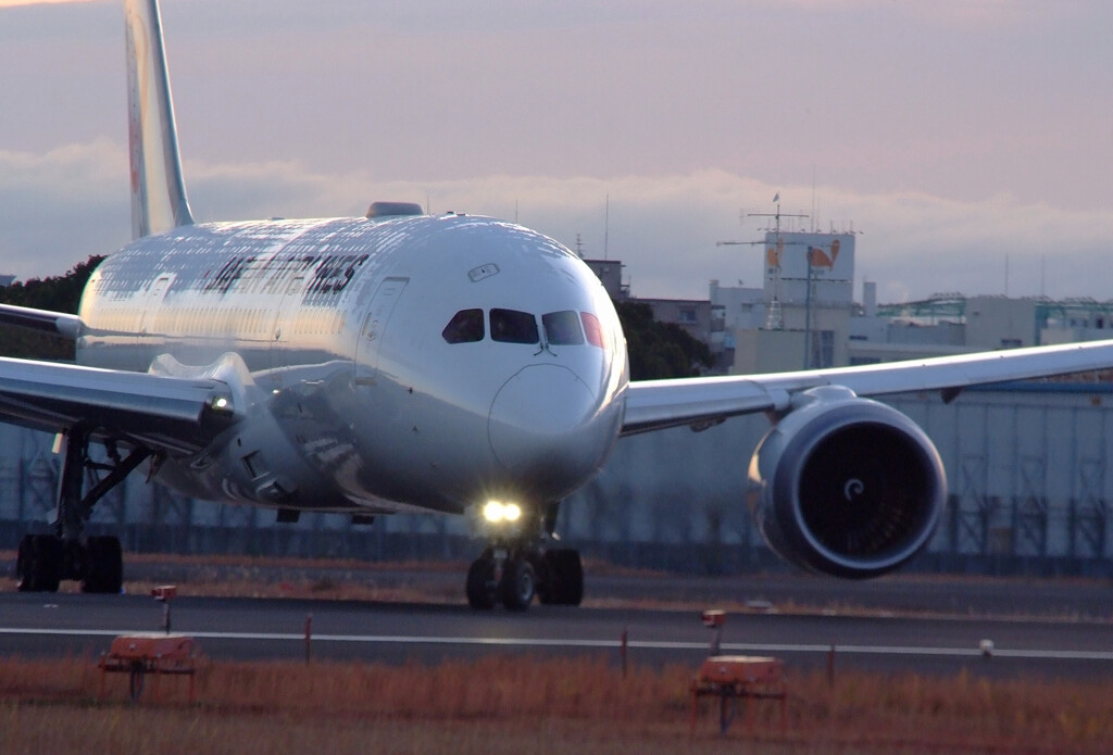 12月の旅路Ⅵ✈JAL Dreamliner