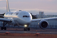 12月の旅路Ⅵ✈JAL Dreamliner