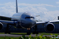 メタリックの世界へ・ANA