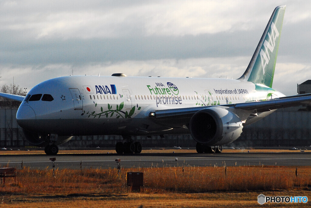 Christmas WingsⅣ✈Boeing 787-8