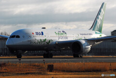 Christmas WingsⅣ✈Boeing 787-8