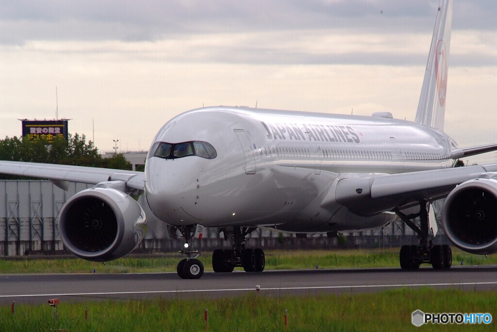 魅せられて✈JA08XJ