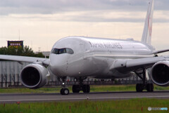 魅せられて✈JA08XJ