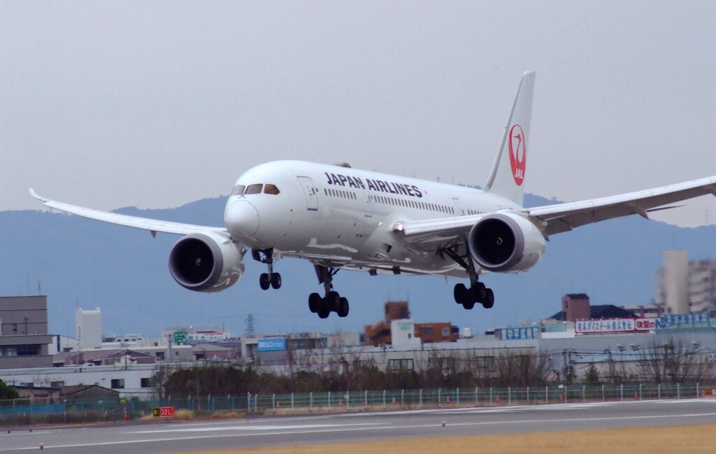弥生の翼2025★Boeing787-8