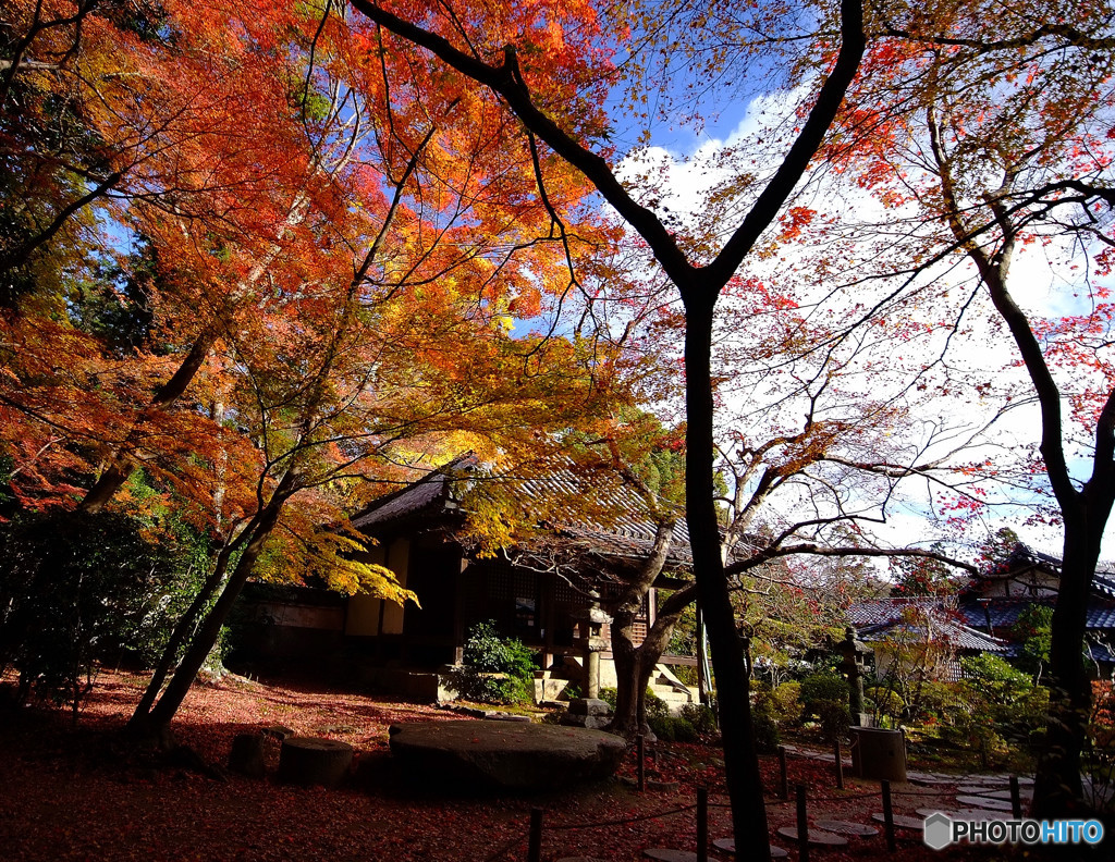 静寂の大門寺にて