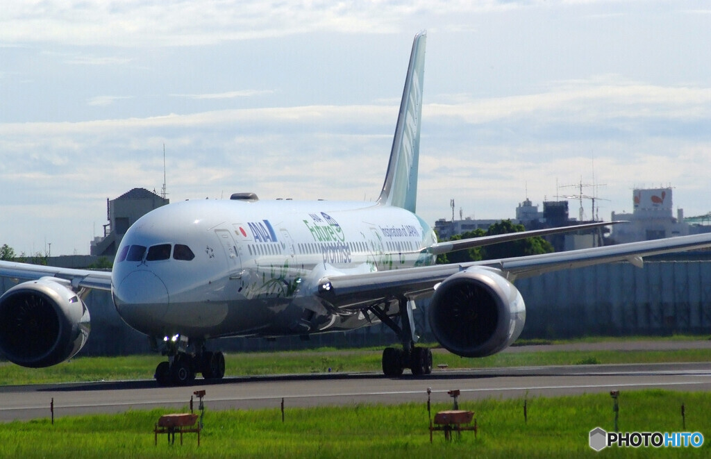 Sunday morningⅩ✈ANA Green JET Ⅱ