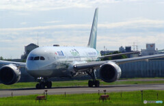 Sunday morningⅩ✈ANA Green JET Ⅱ