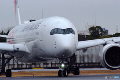 雨の滑走路Ⅳ✈A350-900　