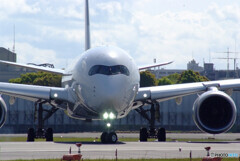 April TravelerⅧ✈A350-900