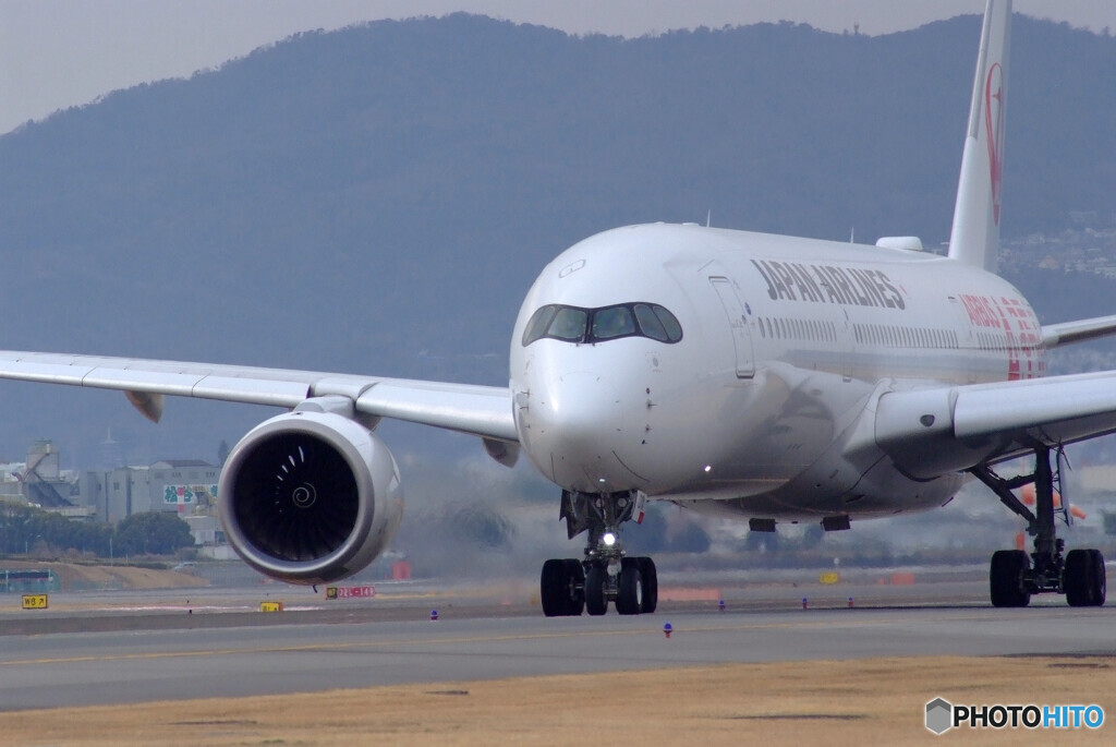 Nice Afternoon✈JA01XJ