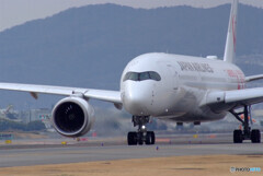 Nice Afternoon✈JA01XJ