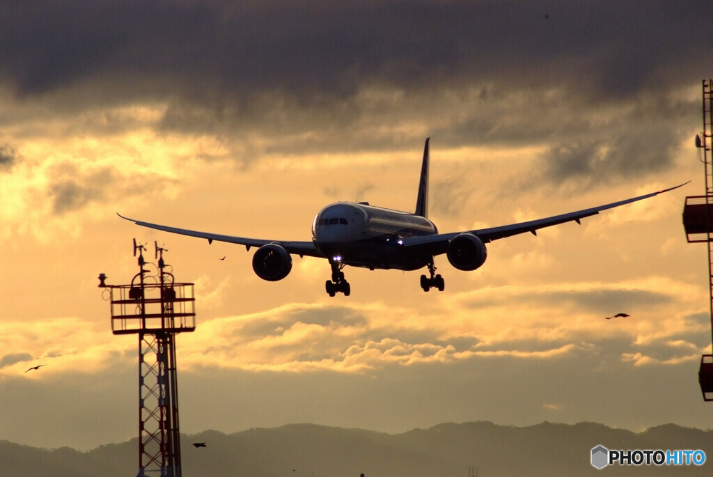 Airplane ParadiseⅡ✈Boeing 787-9