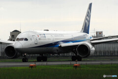 HARADAの夏Ⅱ✈Boeing 787-9