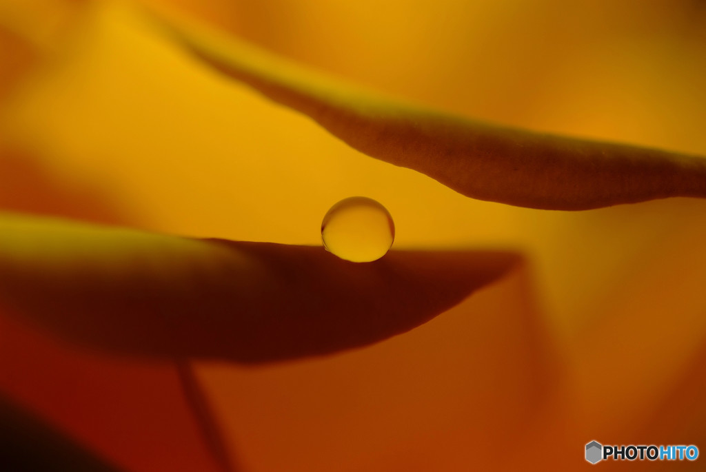 恋する惑星・Ⅰ