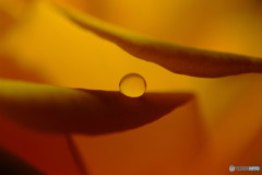 恋する惑星・Ⅰ