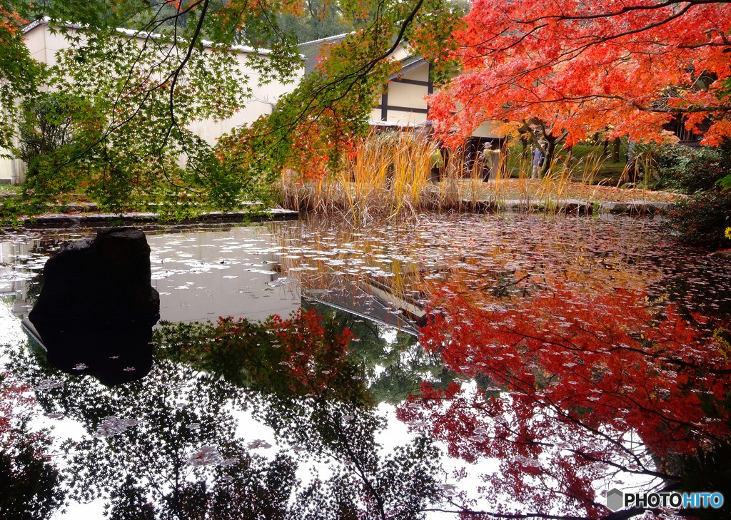 水鏡・紅葉