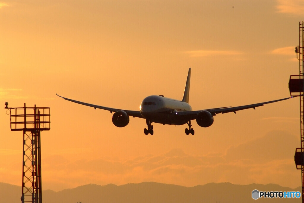 睦月の翼✈Boeing 787-8