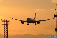 睦月の翼✈Boeing 787-8
