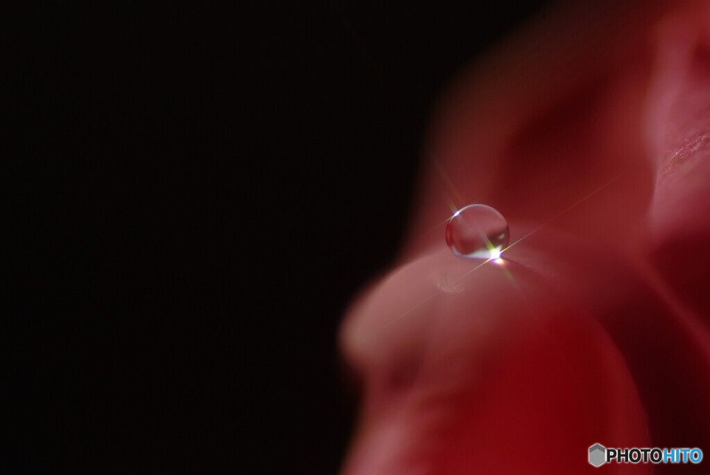 嘉月の十字架✾時