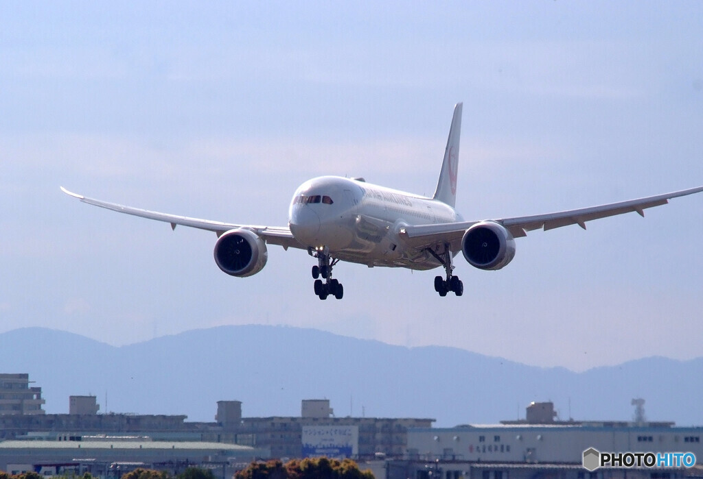 復活の日を信じて✈787-8