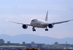 復活の日を信じて✈787-8