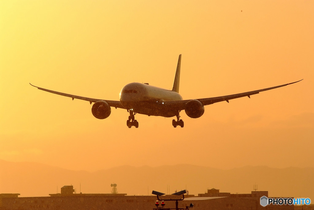 夢の競演・Boeing 787-9
