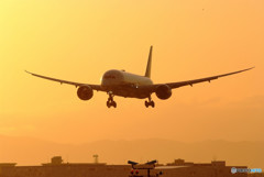 夢の競演・Boeing 787-9