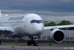 Morning show time✈A350-900