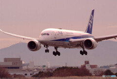 萌月の想い✈787-8