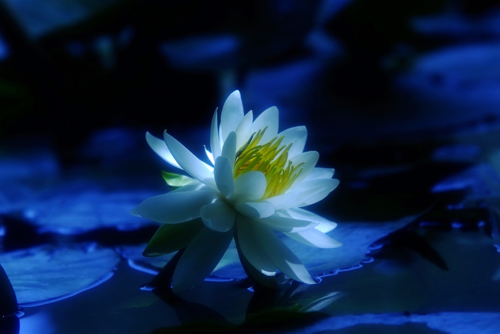 静寂・睡