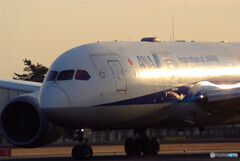 Eternal Star★787 Dreamliner