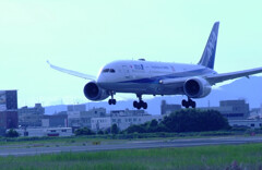 Boeing 787-8 Dreamliner✈2021夏