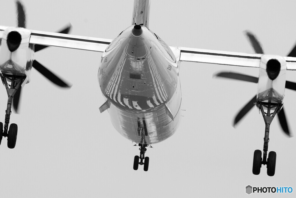 BuckShot★聖の夏