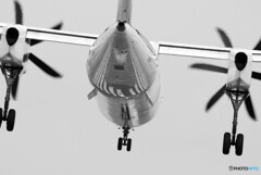 BuckShot★聖の夏