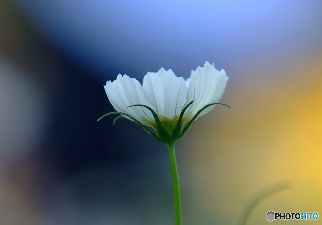 華やかに美しく❁神無月の秋