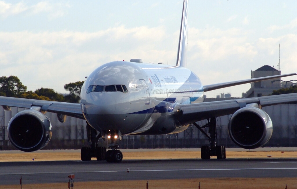 都会のOasis✈JA717A