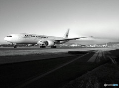 旅たちの朝・JAL