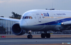 ITMの空へ✈Boeing787-8