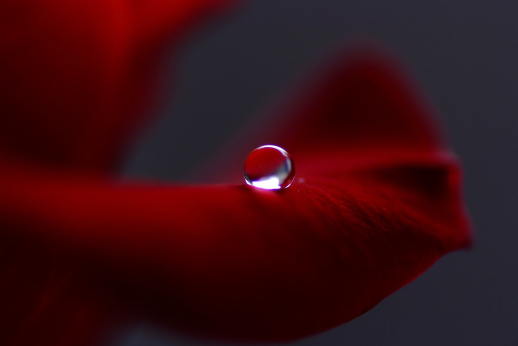 ベルベット・雫