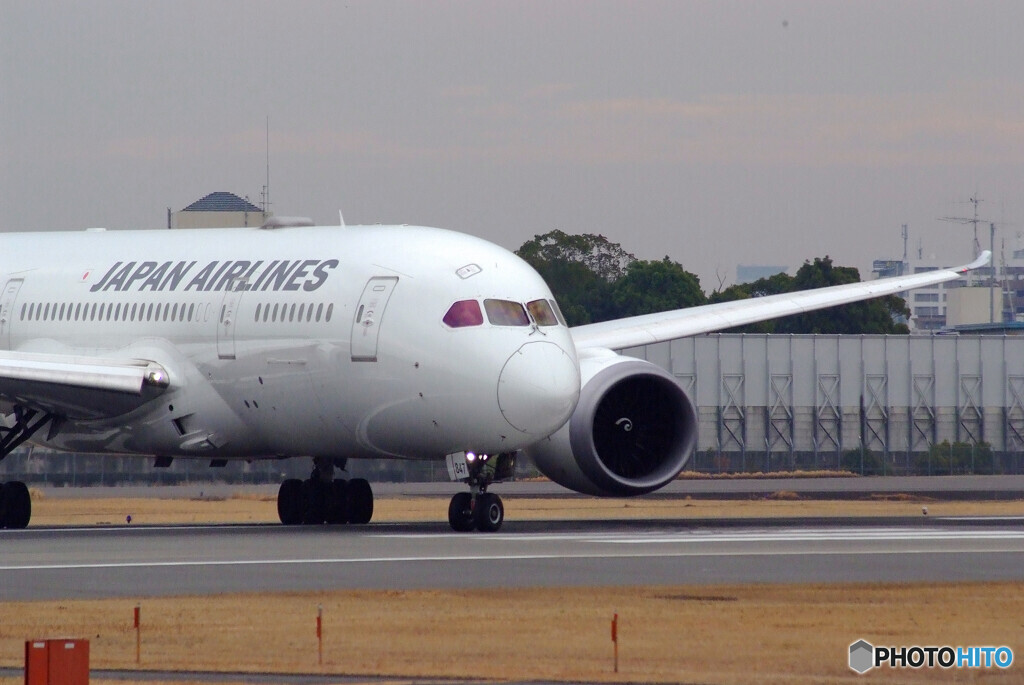 3月の翼✈JAL Boeing787-8