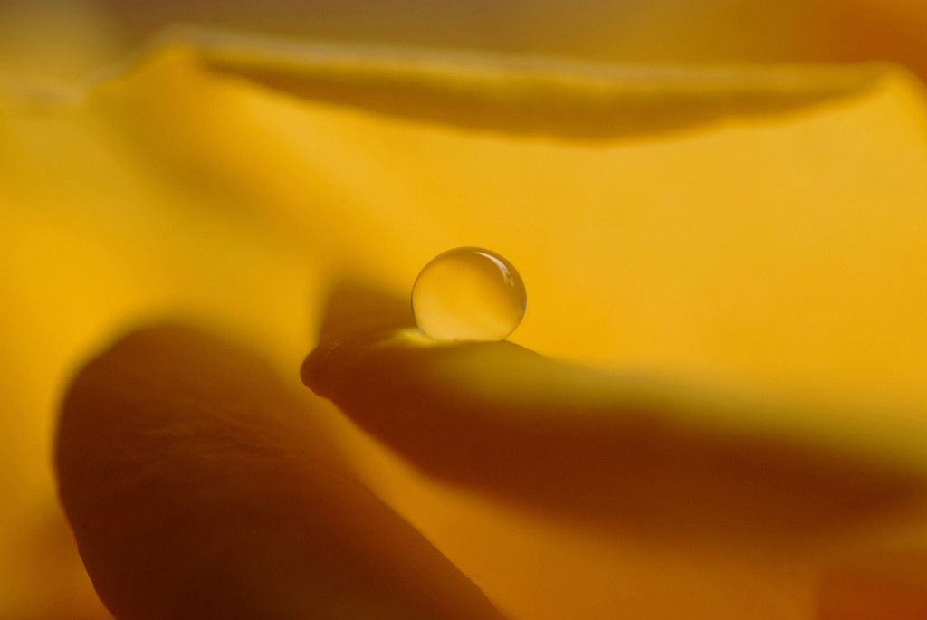 雫を巡る旅へ（Ⅱ）