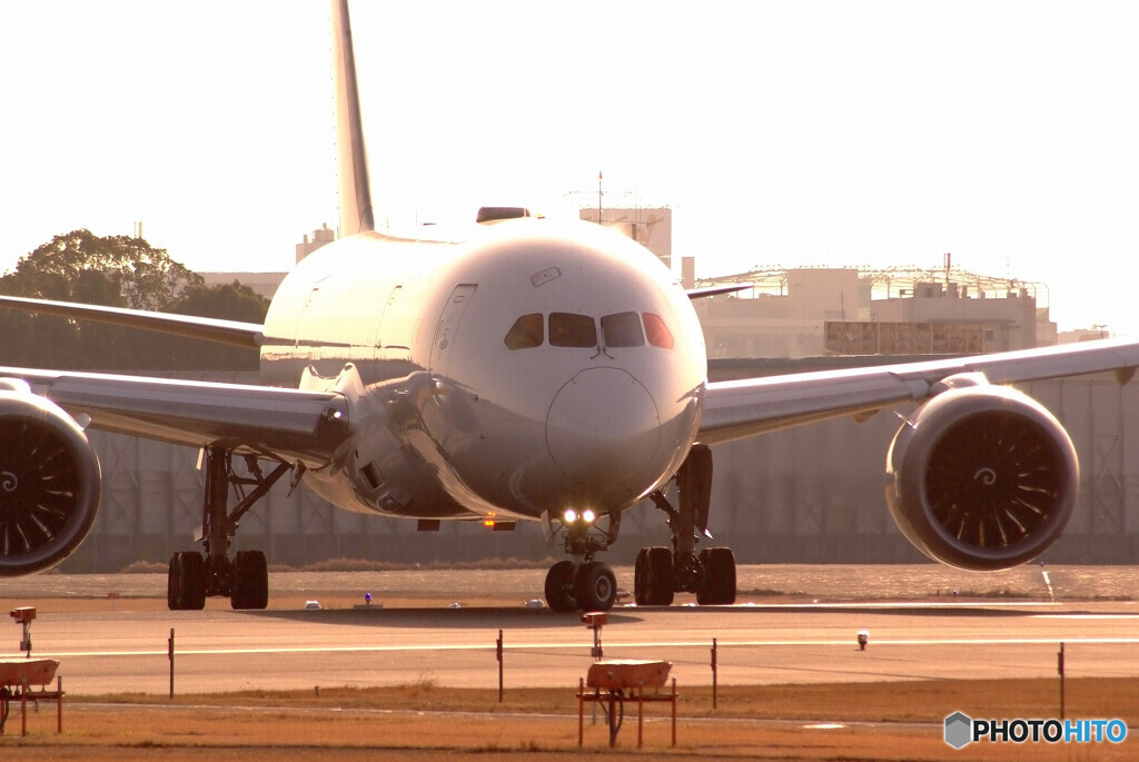 春色の輝き2023✈Boeing 787-8